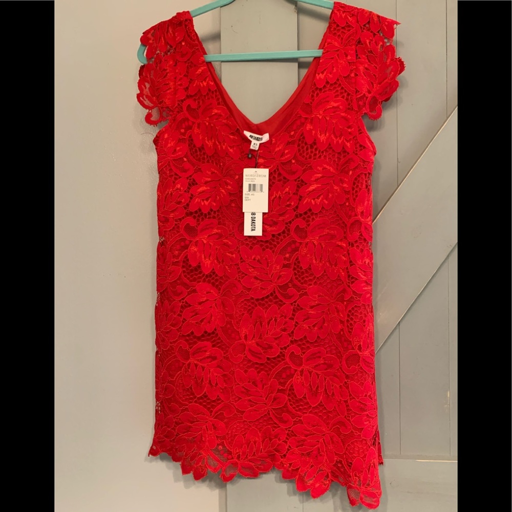 BB Dakota mini dress